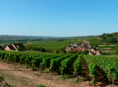The village is surrounded by hills and vineyards.